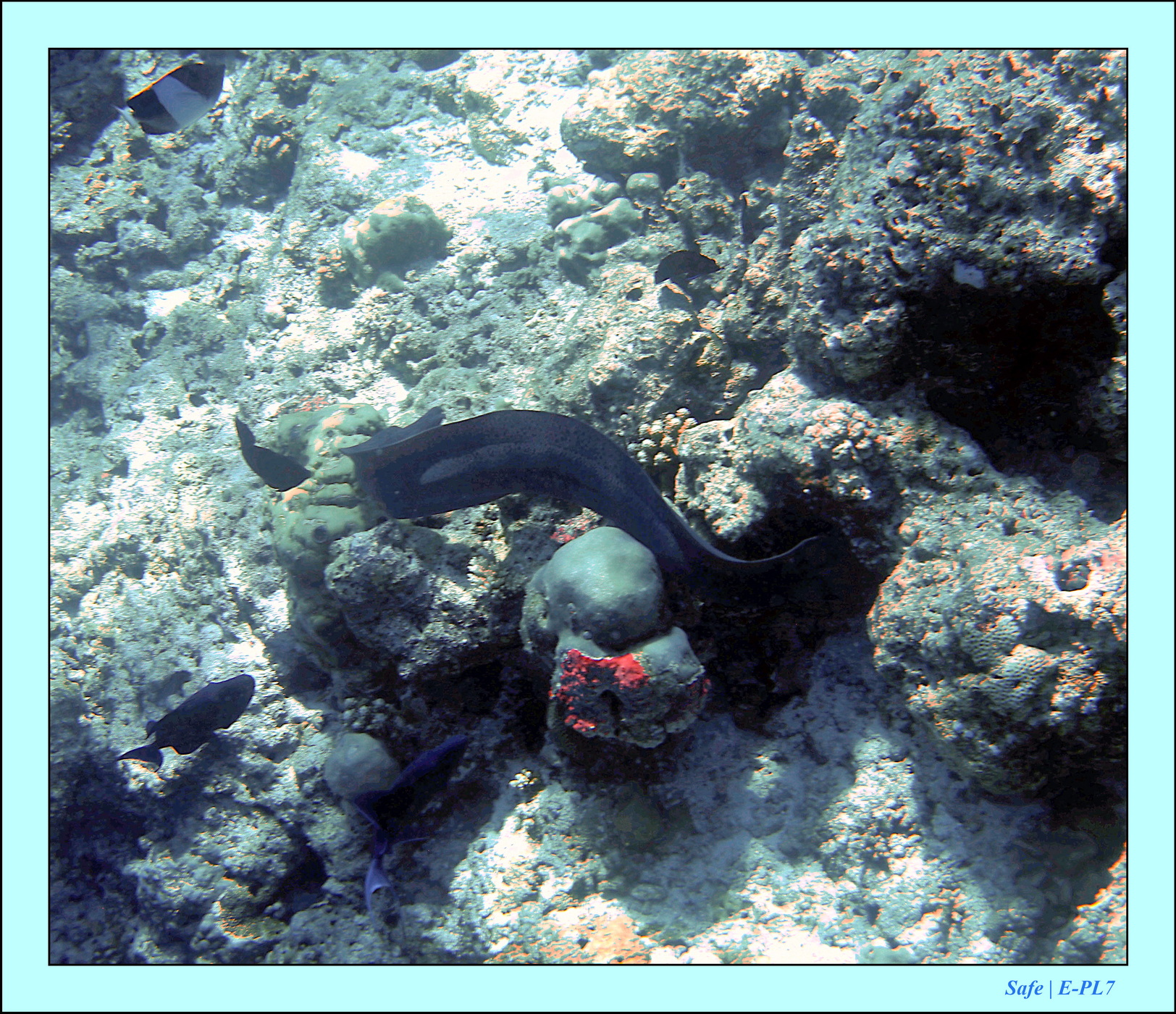 2023 - 07 - Sandies Bathala - 130